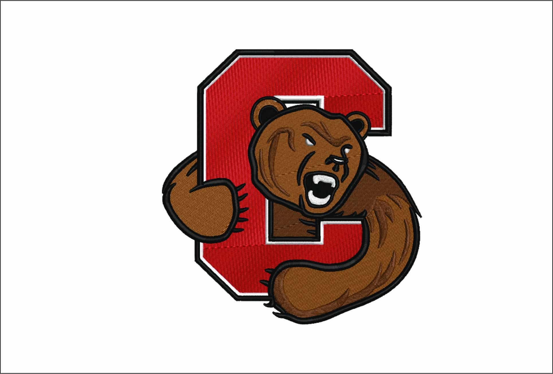 Cornell Big Red embroidery design - Cornell University embroidery machine pattern embroidery file - instant download in a frame